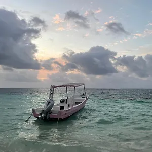 Home's Jungle Puerto Morelos 20 Minutes From The Airport Gasthuis